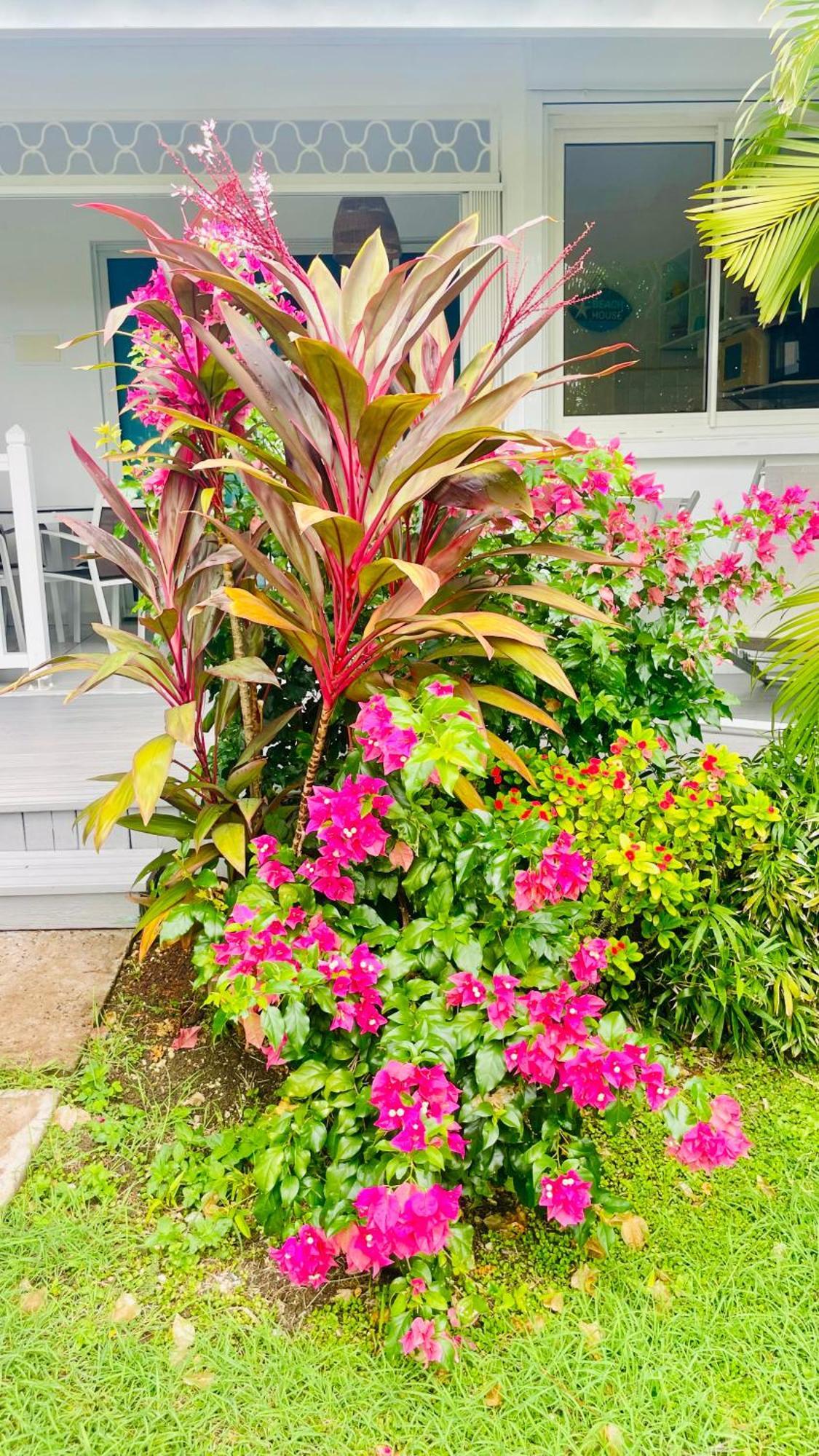 Residence Cocody แซนต์-อาน ภายนอก รูปภาพ